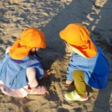 不適切な保育はなぜ起こるのか？─通報義務から考える「制度・環境・意識」そして“学び続ける園”へ─